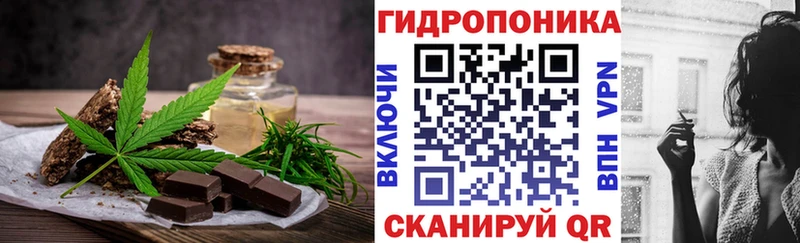 kraken как войти  как найти закладки  Ясный  Canna-Cookies марихуана 