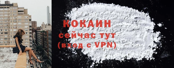 индика Лагань