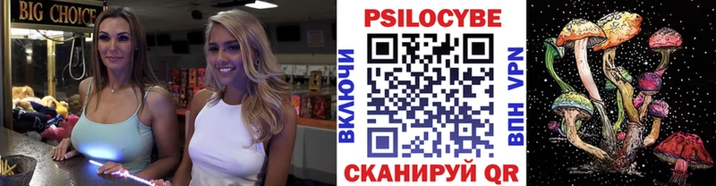 блэк спрут ссылки  Ясный  Псилоцибиновые грибы Psilocybe 